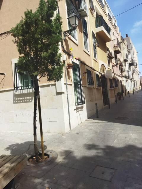 La Casita Del Marques Apartman Alicante Kültér fotó